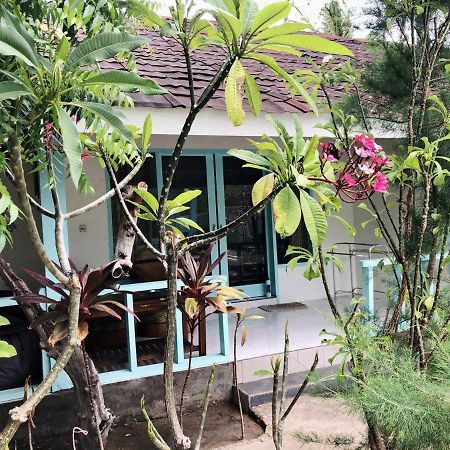 Indigenous Bungalow Gili Trawangan Exteriör bild